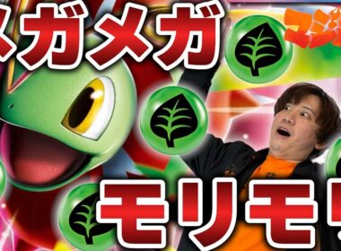 【ポケカ/対戦】エネルギーメガメガモリモリになったメガメガニウムが突破不可能⁉【VSドラパルト】