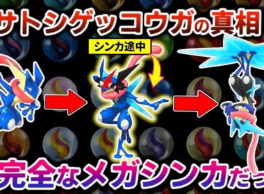 不完全にメガシンカをしてしまった姿がサトシゲッコウガだった