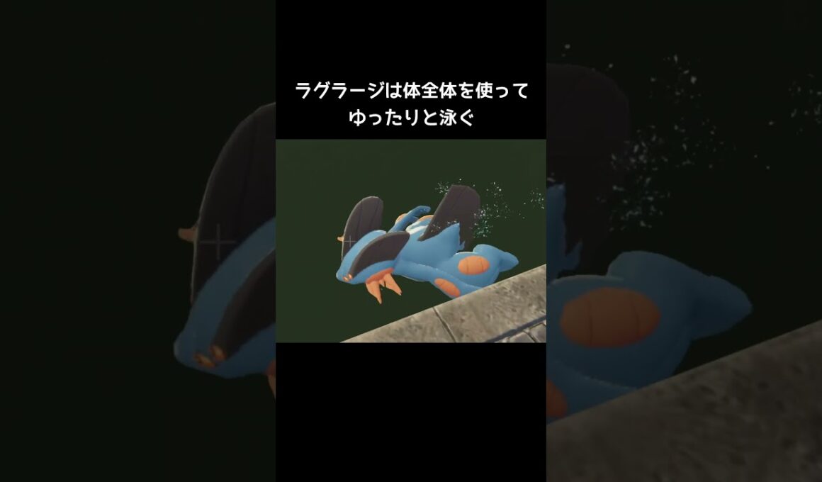 ミズゴロウたちの泳ぎ方の違い【ポケモンZA】#ヌマクロー#ラグラージ
