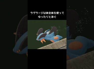 ミズゴロウたちの泳ぎ方の違い【ポケモンZA】#ヌマクロー#ラグラージ