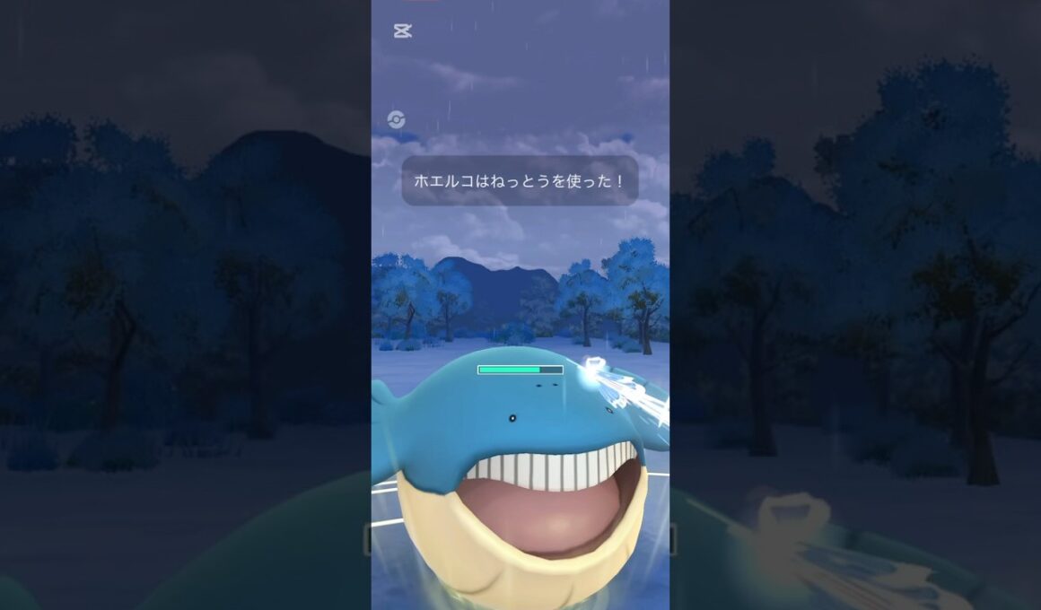 ホエルコを活躍させたい…