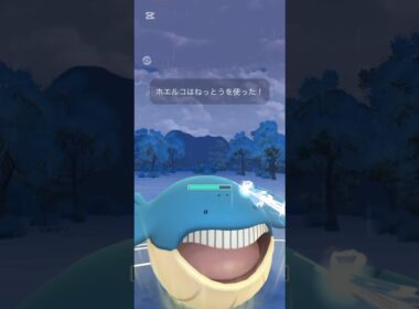 ホエルコを活躍させたい…