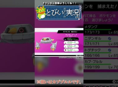 盆と正月とクリスマスとトゲチックが一緒に来た。カプブルルは忘れられた。 #ポケットモンスター剣盾  #ゲーム実況