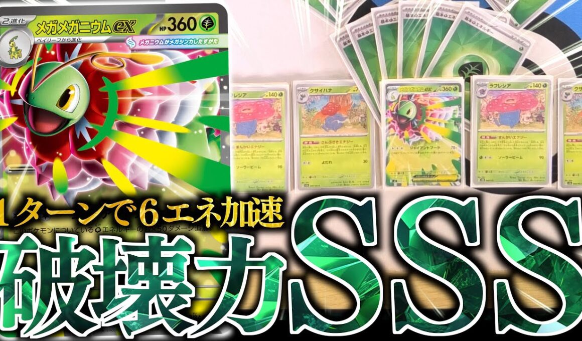 【ド派手】『メガメガニウム』の本気が見れます！！！今しか出来ない『満開ラフレシア』と組合せが強い！！！