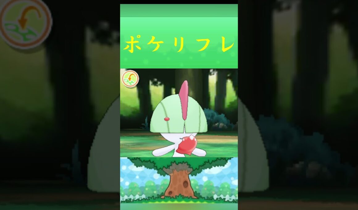 ポケモン ラルトス ポケリフレ ポケパルレ #ポケモン #Pokemon  #3DS #ポケモン技 #ポケモンsv #ポケモン #ふれあい #キャンプ #カレー #サンドイッチ #ピクニック