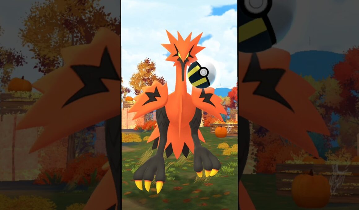 vsガラルサンダー!!【ポケモンGO】