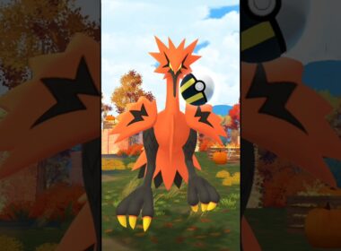 vsガラルサンダー!!【ポケモンGO】