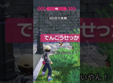 【ポケモンZA】イーブイを捕まえるのに必死すぎるトレーナー #ポケモンza #イーブイ
