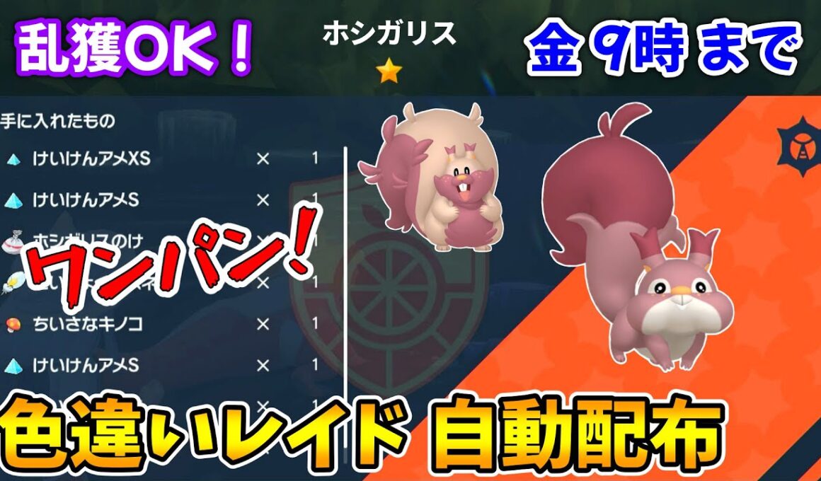 乱獲OK！ホシガリス色違いレイド自動配布会！【ポケモンSV】
