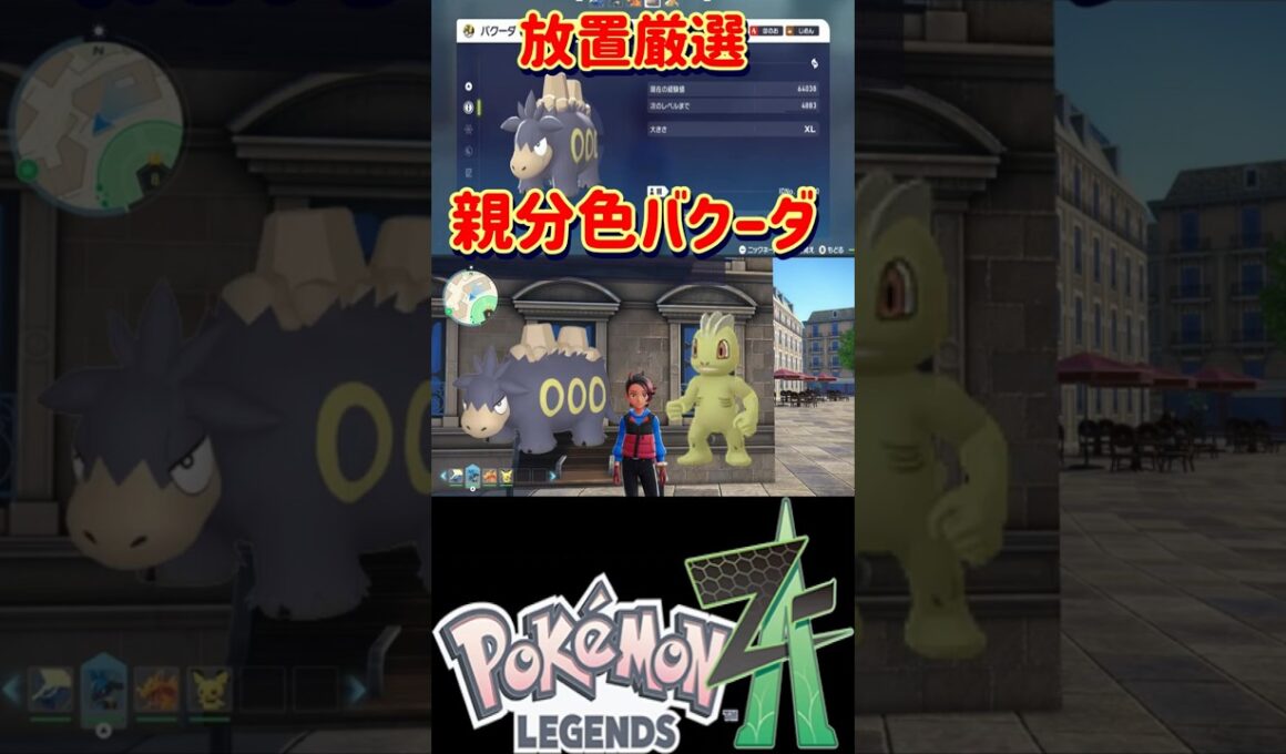 【レジェンズZA】放置してるだけで親分色違いバクーダの厳選が出来る神スポットを紹介します【#ポケモン#Shorts】