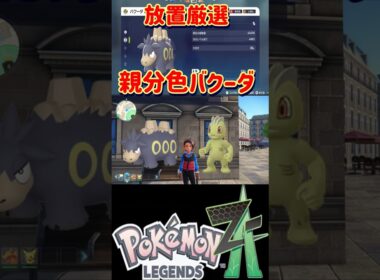 【レジェンズZA】放置してるだけで親分色違いバクーダの厳選が出来る神スポットを紹介します【#ポケモン#Shorts】