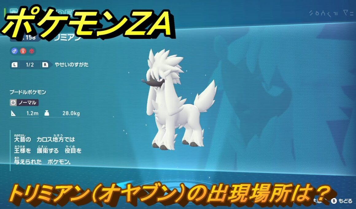 ポケモンＺＡ　トリミアン（オヤブン）の出現場所は？図鑑１５８　＃４２９　【Pokémon LEGENDS Z-A】
