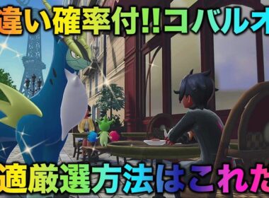 【決定版】コバルオンの色厳選はコレだ！【ポケモンZA】