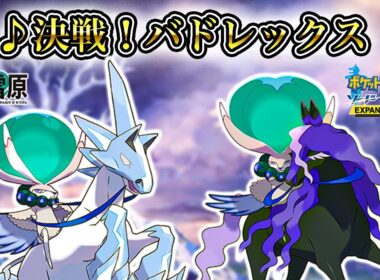 【作業用BGM】『決戦！バドレックス 』1時間耐久【ポケモン剣盾・冠の雪原ストーリー】