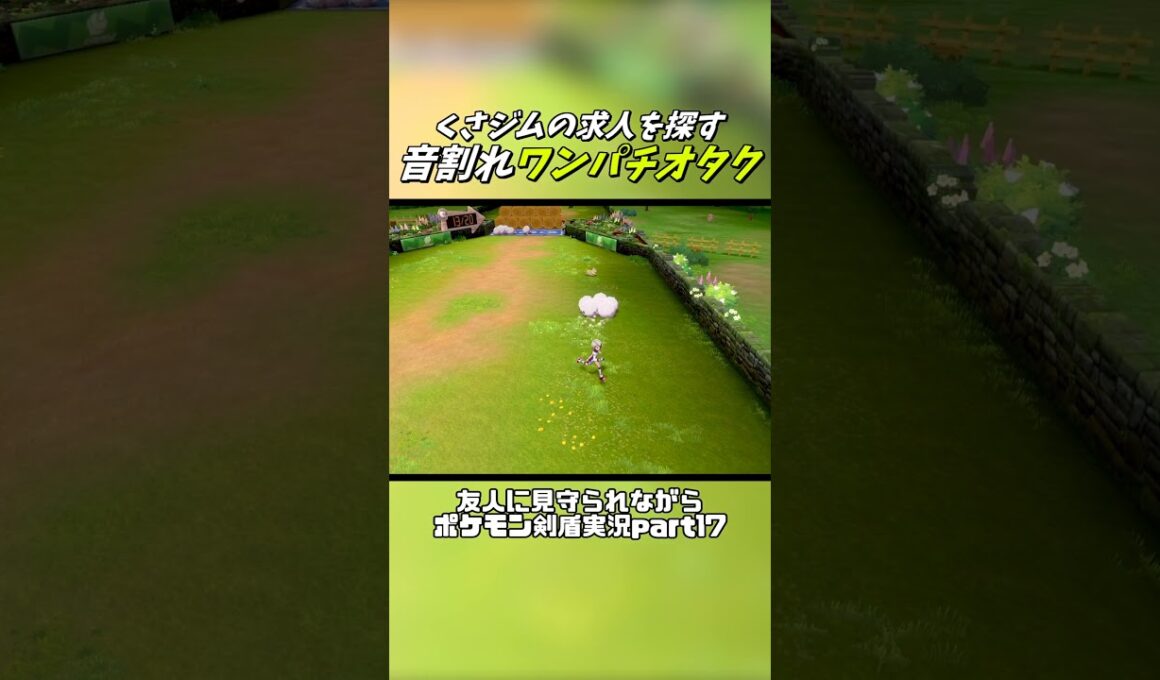 音割れワンパチオタク #shorts #ポケモン #ポケモン剣盾 #ゲーム実況