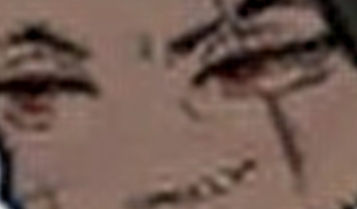 年越し用バニラドンファン接待×108【Library of Ruina】【mod接待】