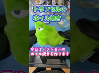 トランセルのホイル焼き　#ポケモンクッキング