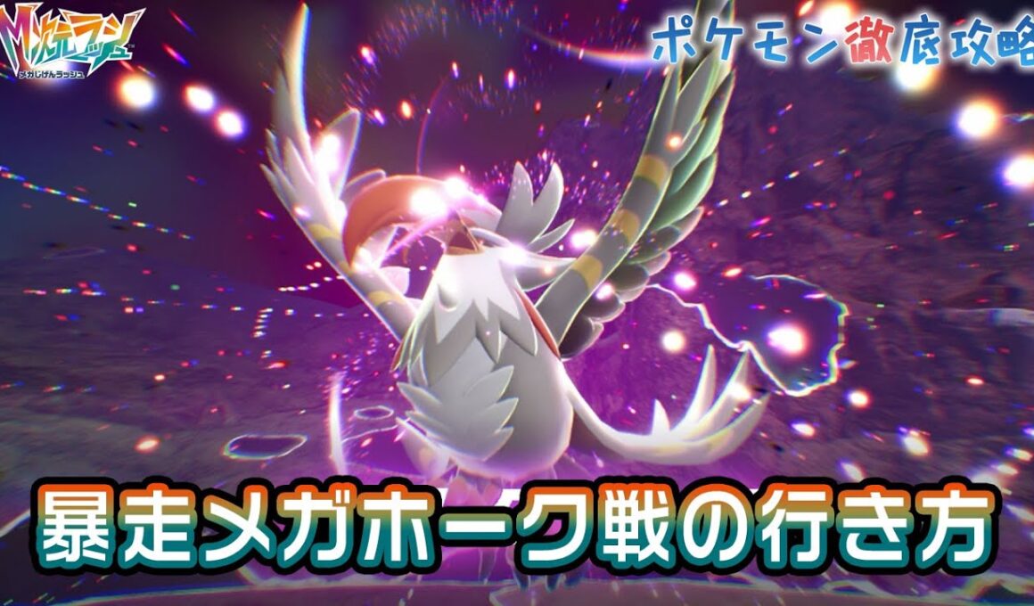 暴走メガムクホーク戦の行き方