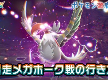 暴走メガムクホーク戦の行き方