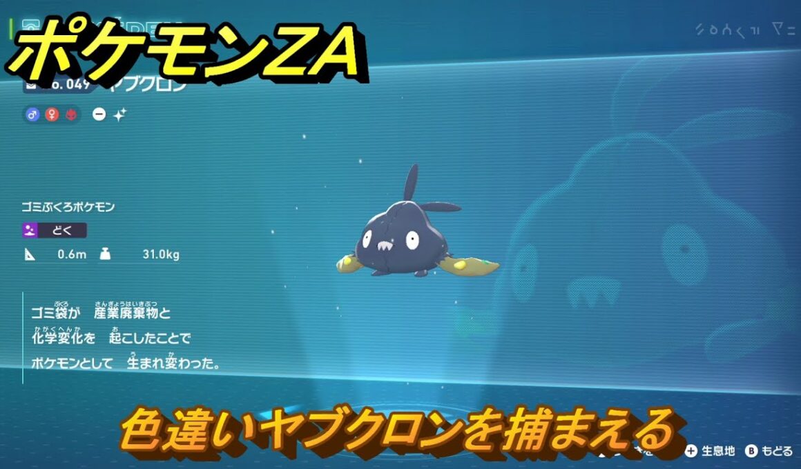 ポケモンＺＡ　色違いヤブクロンを捕まえる　ミアレ図鑑０４９　＃１０４　【DLC「M次元ラッシュ」】