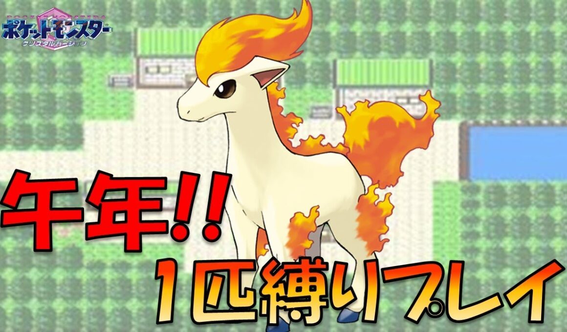 あけましておめでとうございます!!午年なのでポニータで旅してみた!!part1【ゲーム実況】【縛りプレイ】