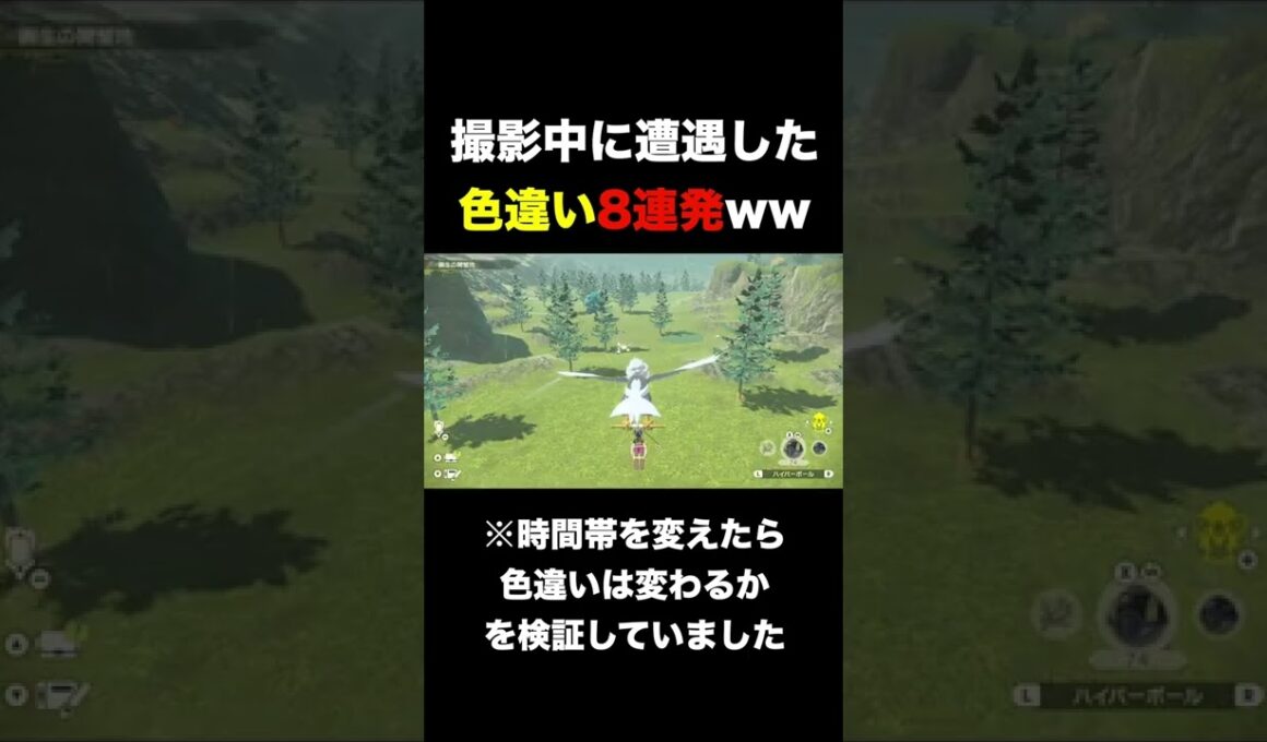 【大量】撮影中に遭遇した色違い8連発ww【ポケモンレジェンズアルセウス】 #shorts