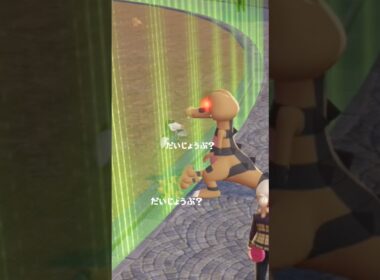 【ポケモンZ-A】帰りたいワルビル。心配するメグロコ@user-lightnest #ポケモン #ポケットモンスター #pokemon #pocketmonsters