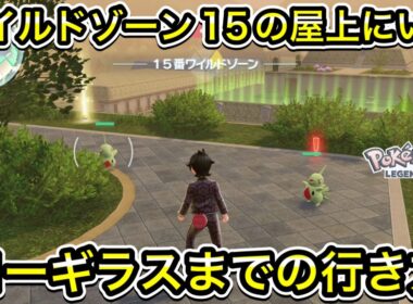 ワイルドゾーン15の屋上にいるヨーギラスまでの行き方！