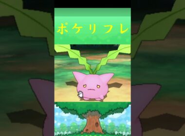 ハネッコ*ポケモン ポケリフレ ポケパルレ #ポケモン #Pokemon  #3DS #nintendoswitch #ポケモンsv #ポケモン #キャンプ #サンドイッチ #ピクニック