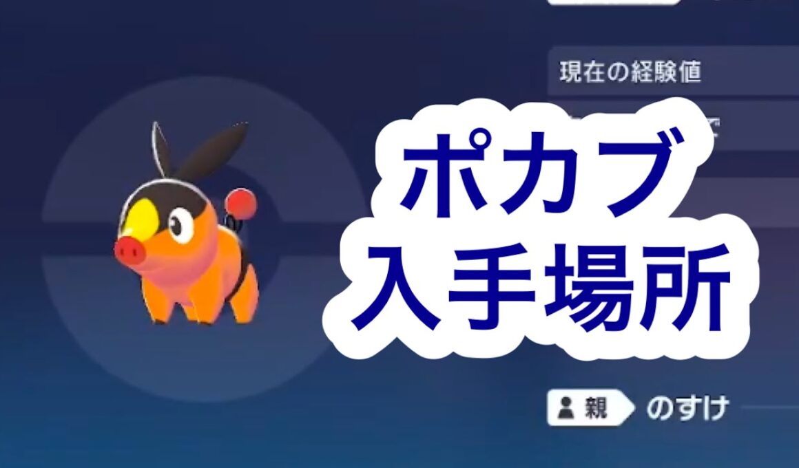 【ポケモンZA】ポカブ入手場所