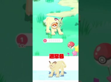 【ポケモンスリープ】　色違い　ペルシアン　【pokemonnsleep】