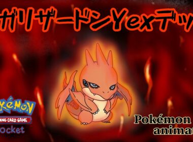 【ポケモンアニメーション】メガリザードンY EXデッキ