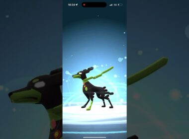 ジガルデ50%しんかぁぁぁぁああああ!! #braveheart #ポケモンGO #ジガルデ #セル