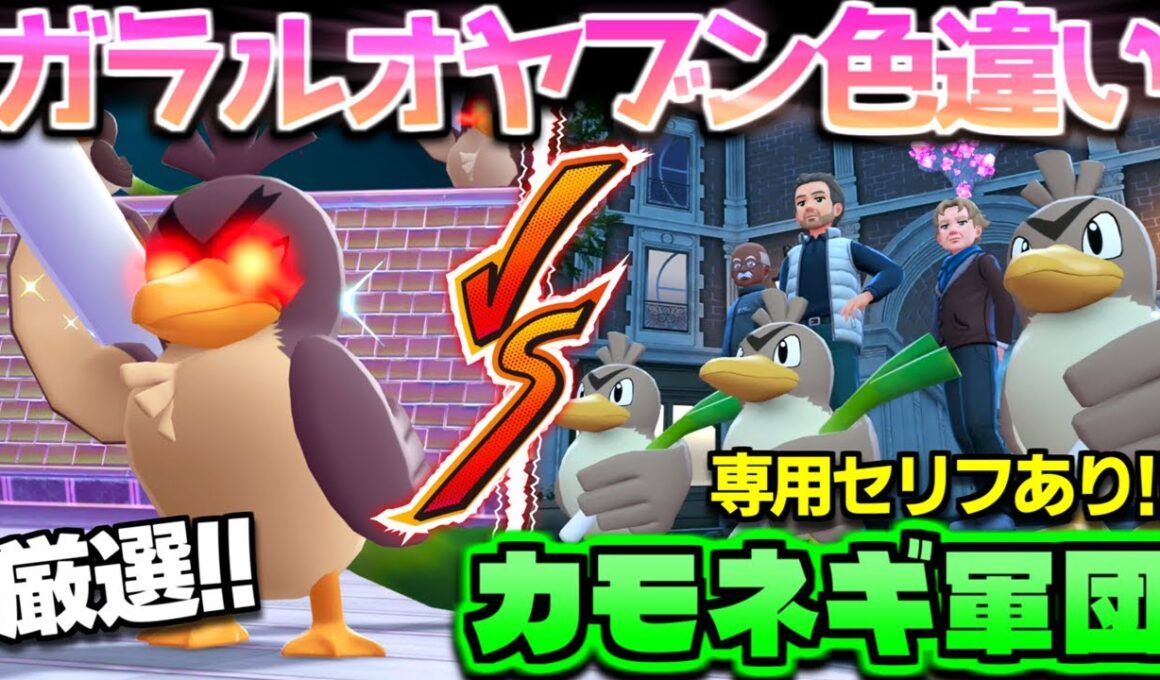 【ポケモンZA】ガラルカモネギvsカモネギ軍団の仁義なき戦い!? オヤブン色違いネギガナイトに進化しようとしたらとんでも展開のサブクエに巻き込まれたｗ【色違い厳選】【切り抜き】