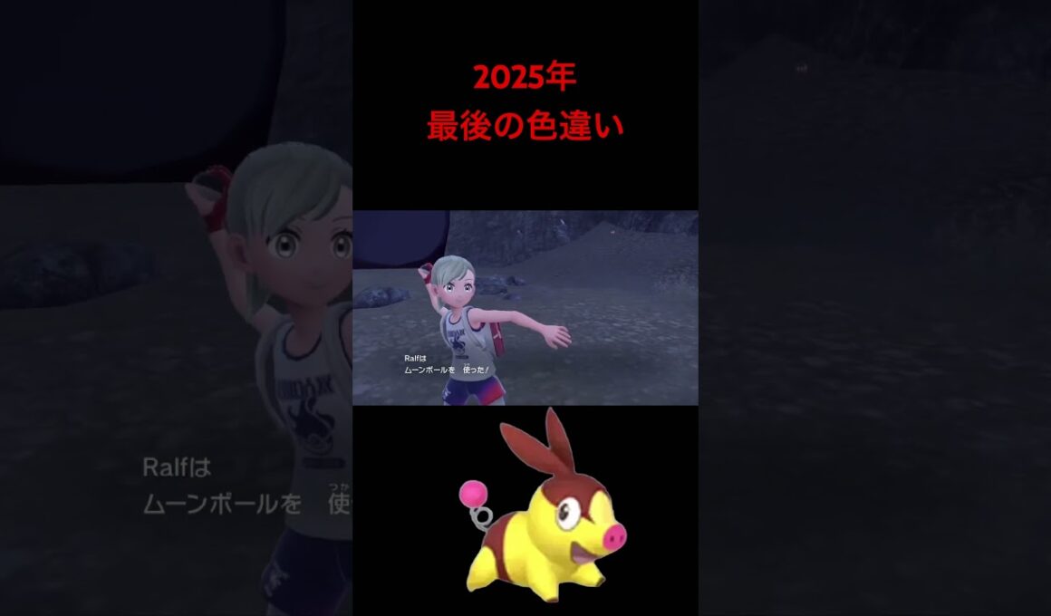 【ポケモンSV】2025年最後の色違いはポカブでした!!!!!!!!!