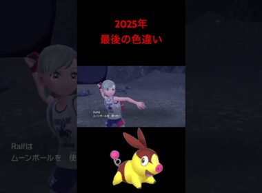 【ポケモンSV】2025年最後の色違いはポカブでした!!!!!!!!!