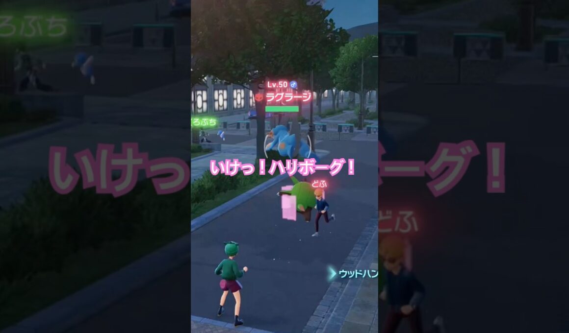 【ポケモンZA】頑張れハリボーグ！ラグラージ編