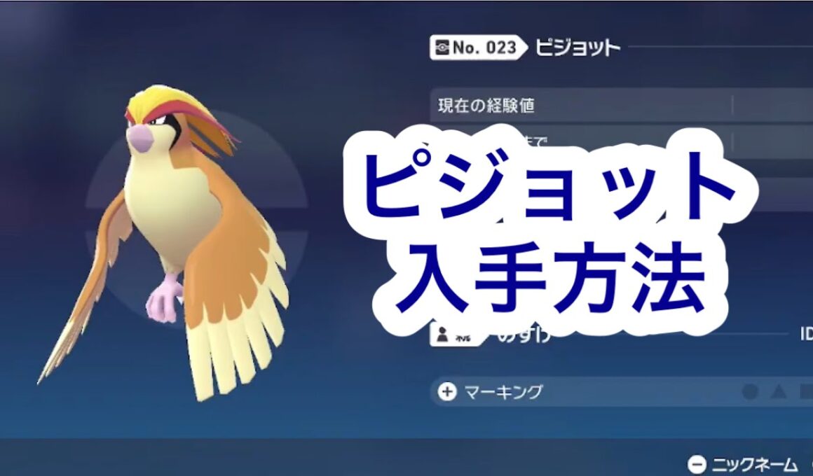 【ポケモンZA】ピジョット入手場所