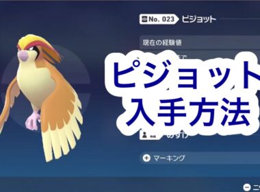 【ポケモンZA】ピジョット入手場所