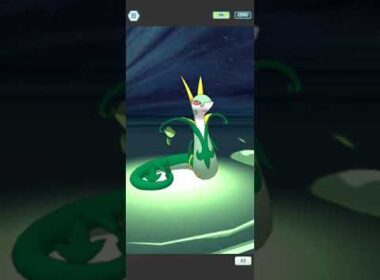 【ポケマス】メイ、ジャローダのバディーズわざ