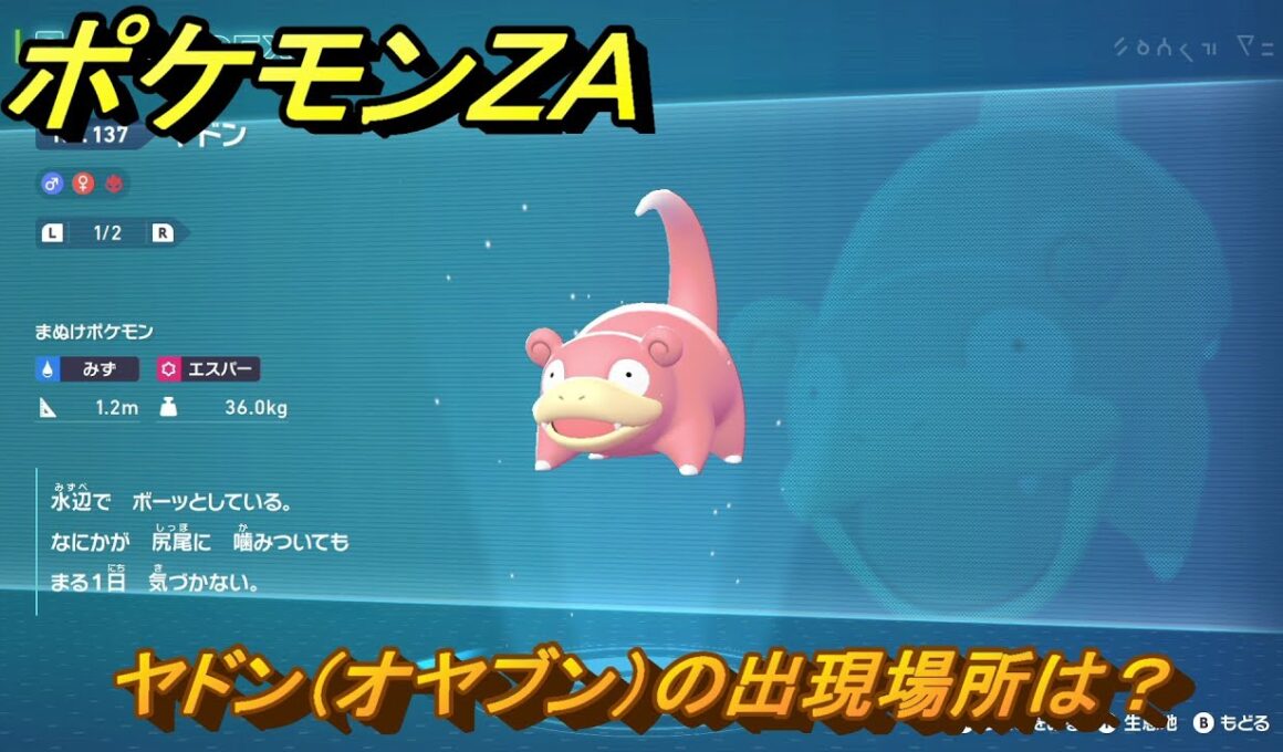 ポケモンＺＡ　ヤドン（オヤブン）の出現場所は？図鑑１３７　＃６１３　【Pokémon LEGENDS Z-A】