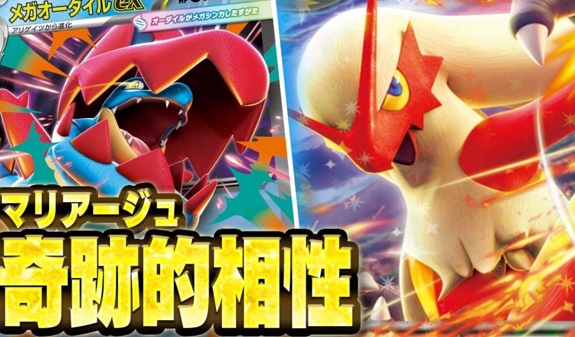 【一撃爆裂】メガオーダイルexの相方はこいつで決まりや…【バシャーモex】【ポケカ/対戦】【スタートデッキ100バトルコレクション】