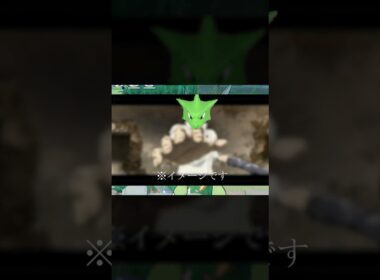 ユナイトではストライク＞＞＞＞ハッサムなんです。本家やってる人は気をつけてね【ポケモンユナイト】#ポケモユナイト #ユナイト #ポケユナ #ポケモン #pokemonunite デカヌチャン