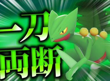 【ポケモンZA】メガなしでも強い！？草御三家「ジュカイン」が物理型で環境を叩き斬るッ！！【ゆっくり実況】