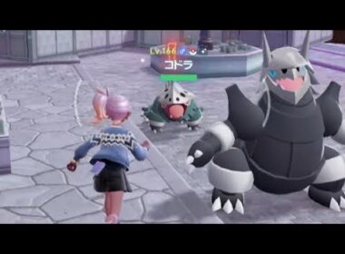 苔むすまで〰️♫ 色違いコドラ