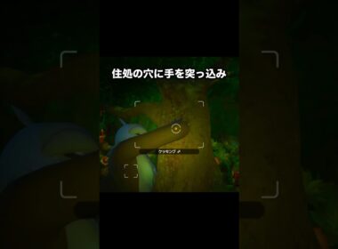 【窃盗は犯罪。】盗みを働くデデンネとケッキング #ポケモン #newポケモンスナップ