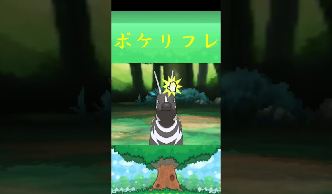 ゼブライカ*ポケモン ポケリフレ ポケパルレ #ポケモン #Pokemon  #3DS #nintendoswitch #ポケモンsv #ポケモン #キャンプ #サンドイッチ #ピクニック