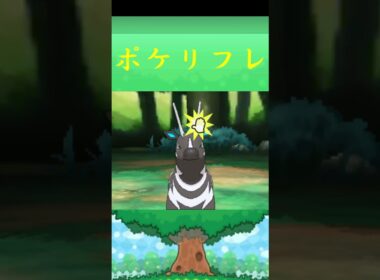 ゼブライカ*ポケモン ポケリフレ ポケパルレ #ポケモン #Pokemon  #3DS #nintendoswitch #ポケモンsv #ポケモン #キャンプ #サンドイッチ #ピクニック