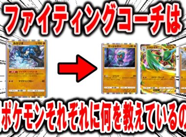 【ポケポケ】ルカリオは「ファイティングコーチ」として、格闘ポケモンたちそれぞれに何を教えてダメージを20上げているのか？【ポケモン解説】
