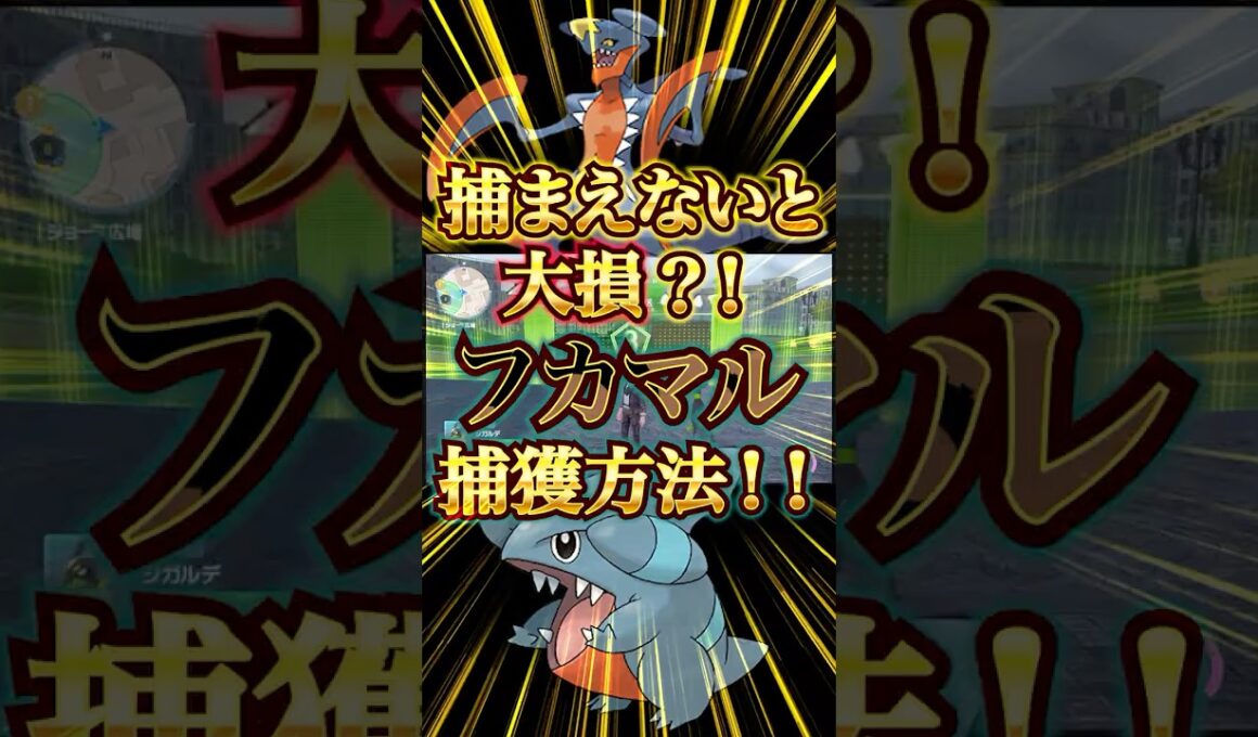 【ポケモンレジェンズZA】捕まえないと大損？！　フカマル捕獲方法！！